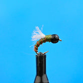 Tungsten RS 2 olive